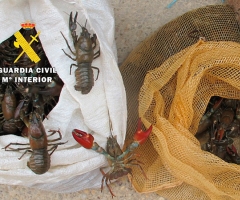 Denunciados tres varones por pescar cangrejos en el río Cerratón